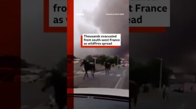Thousands evacuated from south-west France as wildfires spread. #BBCNews