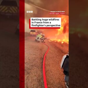 Battling huge wildfires in France from a firefighter's perspective. #BBCNews