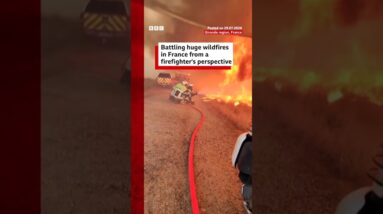 Battling huge wildfires in France from a firefighter's perspective. #BBCNews