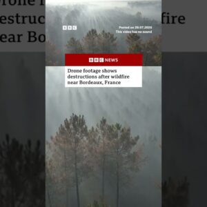 Drone footage shows destructions after wildfire near Bordeaux, France. #France #Wildfires #BBCNews