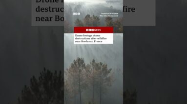 Drone footage shows destructions after wildfire near Bordeaux, France. #France #Wildfires #BBCNews
