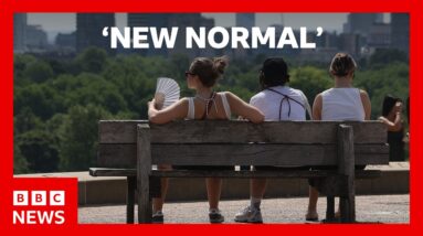 UK climate extremes becoming 'new normal', says Met Office | BBC News