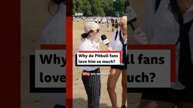 Why do Pitbull fans love him so much? #Pitbull #MrWorldwide #London #GuinnessWorldRecords #BBCNews