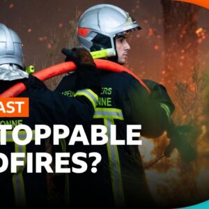 Why are the Spain and France wildfires so bad? | BBC Newscast