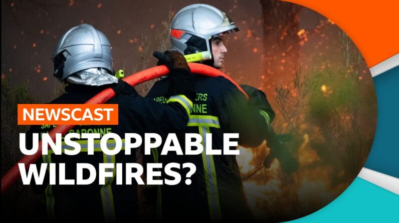 Why are the Spain and France wildfires so bad? | BBC Newscast