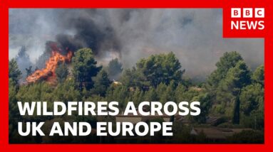 Wildfires burn in UK and Europe as heatwaves continue | BBC News