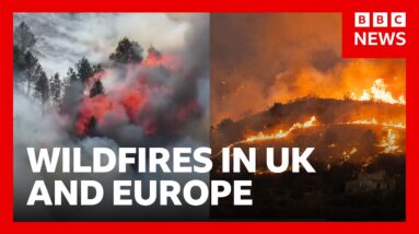 Wildfires in the UK and Europe as heatwaves continue | BBC News