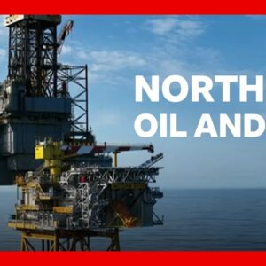 Jackdaw boss warns of winter fuel shortage risk if North Sea gas field not approved | BBC News