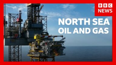 Jackdaw boss warns of winter fuel shortage risk if North Sea gas field not approved | BBC News