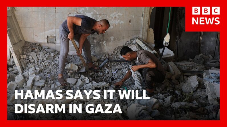 Hamas says it agrees to disarm in Gaza as at least eight killed in overnight strikes | BBC News