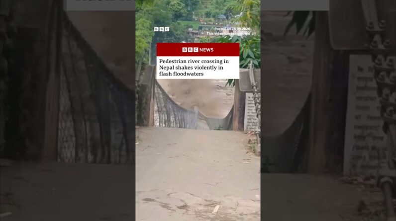 Pedestrian river crossing in Nepal shakes violently in flash floodwaters. #BBCNews
