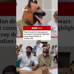 Man dressed as dog appears at Indian council hearing. #India #Dogs #BBCNews