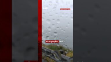 'It's actually hard for us to see', says reporter as Hurricane Lala looms. #Hawaii #BBCNews