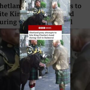 Shetland pony tries to bite King Charles as he arrives for summer holiday at Balmoral. #BBCNews