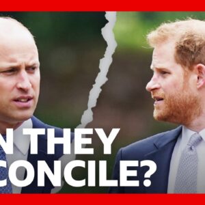 Can Harry and William repair their relationship? | BBC News