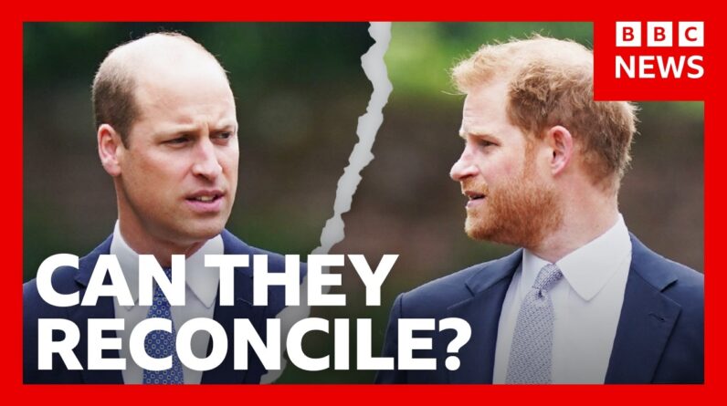 Can Harry and William repair their relationship? | BBC News