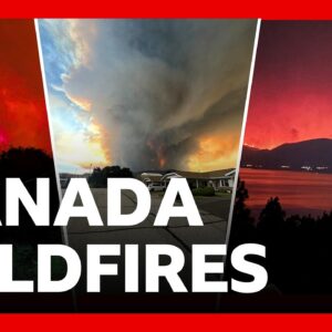 Emergency declared as Canada wildfire doubles in size | BBC News