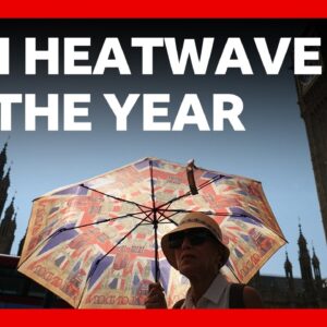 Europe swelters in fifth heatwave of the year | BBC News
