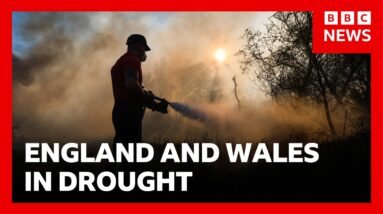 Fire crews still dealing with a "significant number" of fires across Wales and England | BBC News