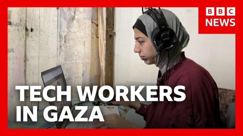 Gaza's tech workers rebuilding their lives online | BBC News