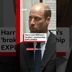 Harry and William's 'broken' relationship explained. #RoyalFamily #BBCNews
