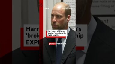Harry and William's 'broken' relationship explained. #RoyalFamily #BBCNews