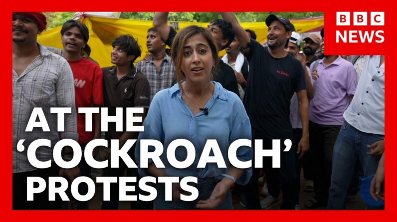 I spent a week with India's 'cockroach' protesters | BBC News