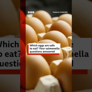Which eggs are safe to eat? Your salmonella questions answered. #UK #BBCNews