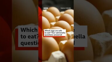 Which eggs are safe to eat? Your salmonella questions answered. #UK #BBCNews