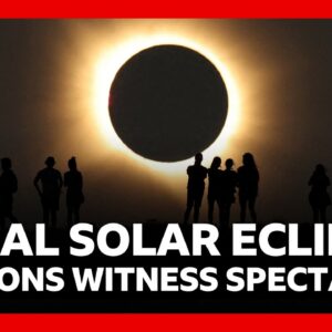 Millions across Europe witness spectacular solar eclipse | BBC News