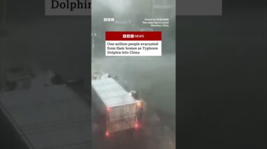 China evacuates one million from homes as Typhoon Dolphin arrives. #BBCNews
