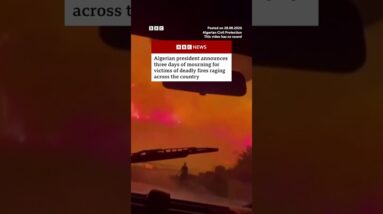 Algerians look on as deadly wildfires rage through night. #Algeria #Wildfires #BBCNews