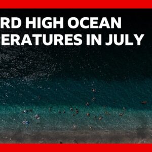 World's oceans hit record-high July temperatures, EU's climate monitoring service says | BBC News