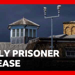 Early prisoner release scheme risks more serious crime, probation chief warns | BBC News