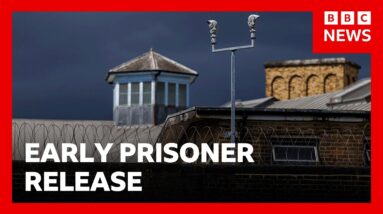Early prisoner release scheme risks more serious crime, probation chief warns | BBC News