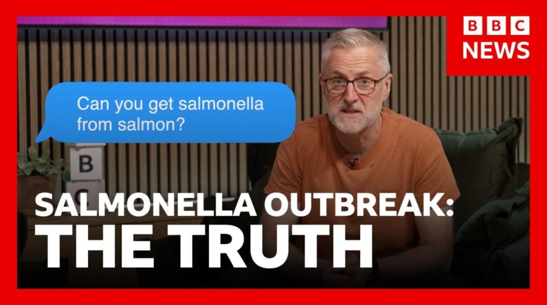 Salmonella: Everything you need to know about the outbreak | BBC News