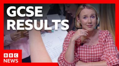 You got your GCSE results - now what? | BBC News