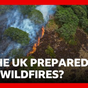 Lives 'will be lost' unless UK does more to combat wildfires, experts warn | BBC News
