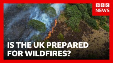 Lives 'will be lost' unless UK does more to combat wildfires, experts warn | BBC News