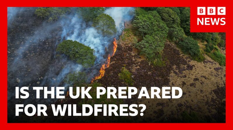 Lives 'will be lost' unless UK does more to combat wildfires, experts warn | BBC News
