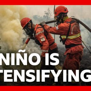 ‘Godzilla’ El Niño is hitting us already. Here’s how | BBC News