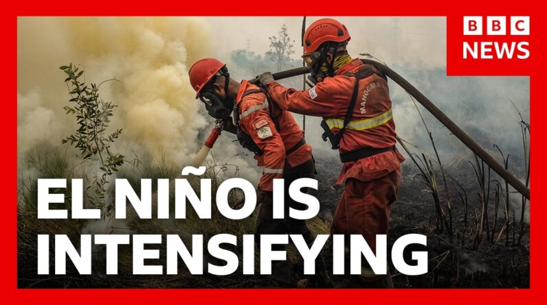 ‘Godzilla’ El Niño is hitting us already. Here’s how | BBC News