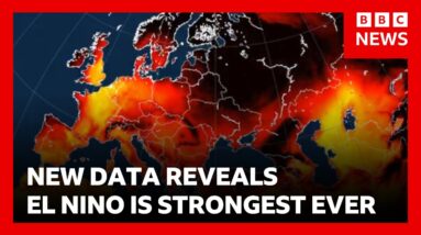 New data shows El Niño is strongest ever with major shift in global weather patterns | BBC News