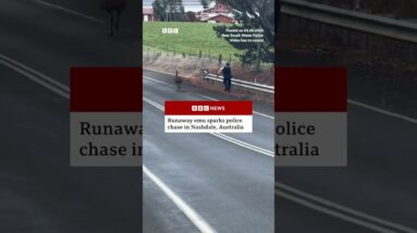 Runaway emu sparks Australian police chase. #BBCNews
