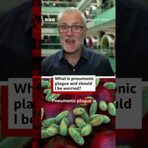 What is pneumonic plague and why is it worrying health officials? #BBCNews