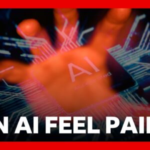 Can 'Pain' Influence AI Behaviour? | BBC News