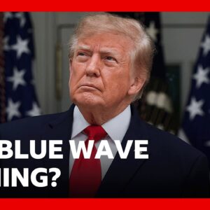 Can Trump fight off a Democratic blue wave this US midterms? | BBC News