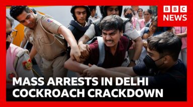Cockroach protest leaders among hundreds detained in Delhi crackdown | BBC News