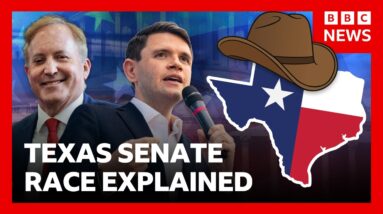 Could a Democrat flip deep-red Texas at the Midterms? | BBC News