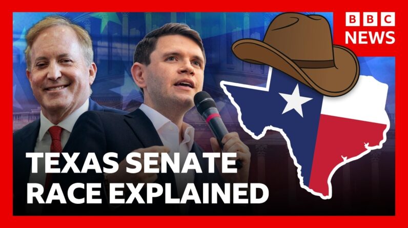 Could a Democrat flip deep-red Texas at the Midterms? | BBC News
